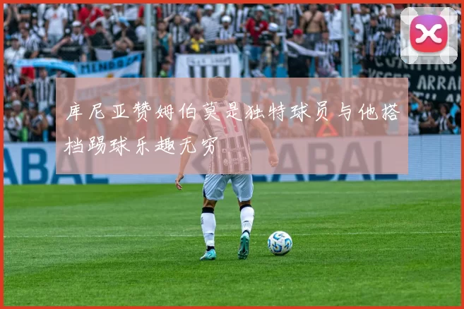 库尼亚赞姆伯莫是独特球员与他搭档踢球乐趣无穷