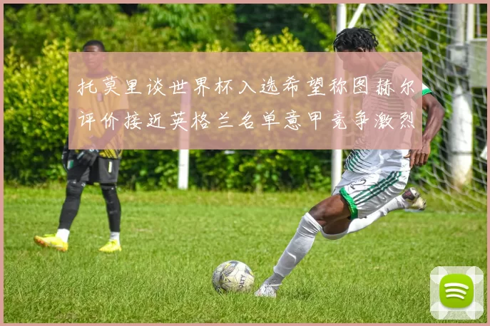 托莫里谈世界杯入选希望称图赫尔评价接近英格兰名单意甲竞争激烈
