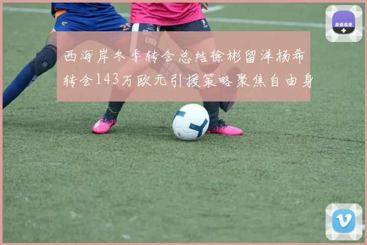 西海岸冬季转会总结徐彬留洋杨希转会143万欧元引援策略聚焦自由身球员